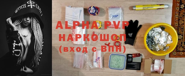 твердый Горняк